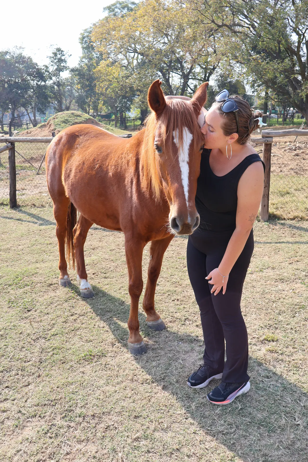 Horse Style