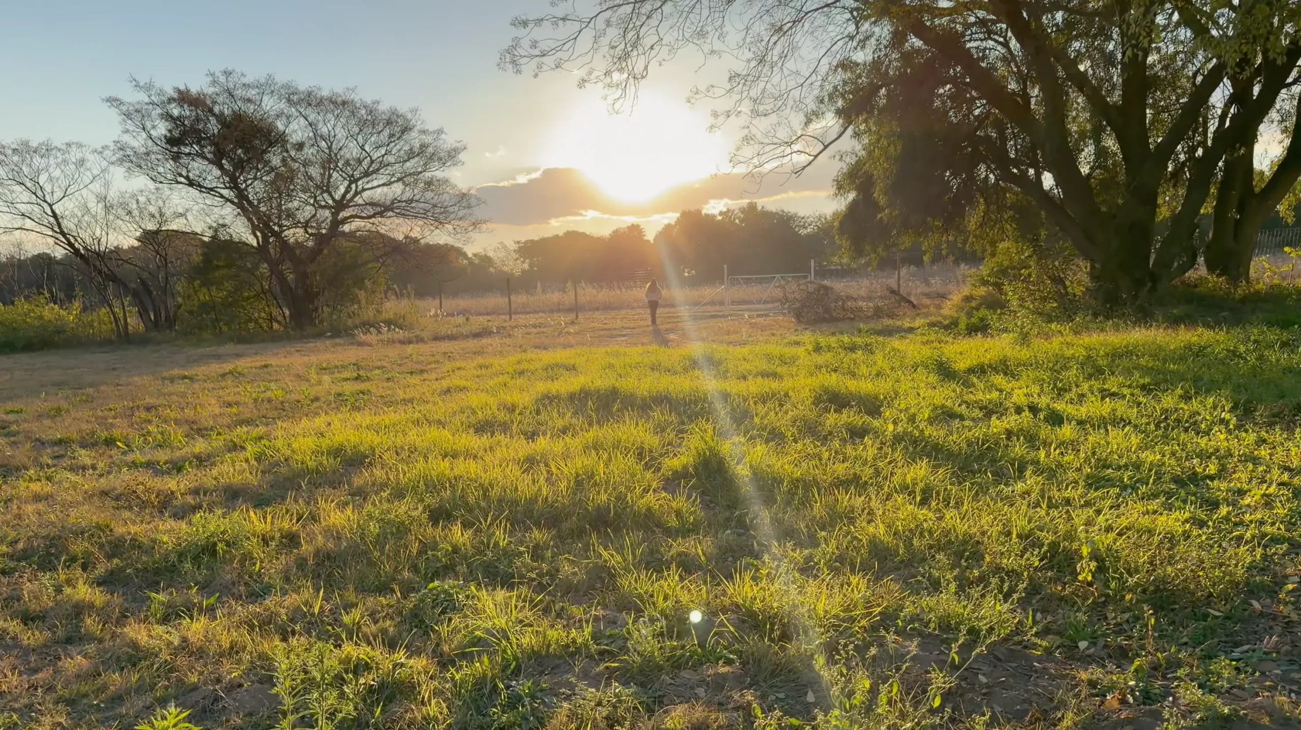 Building Their Forever Home