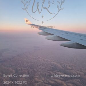 Above the Desert