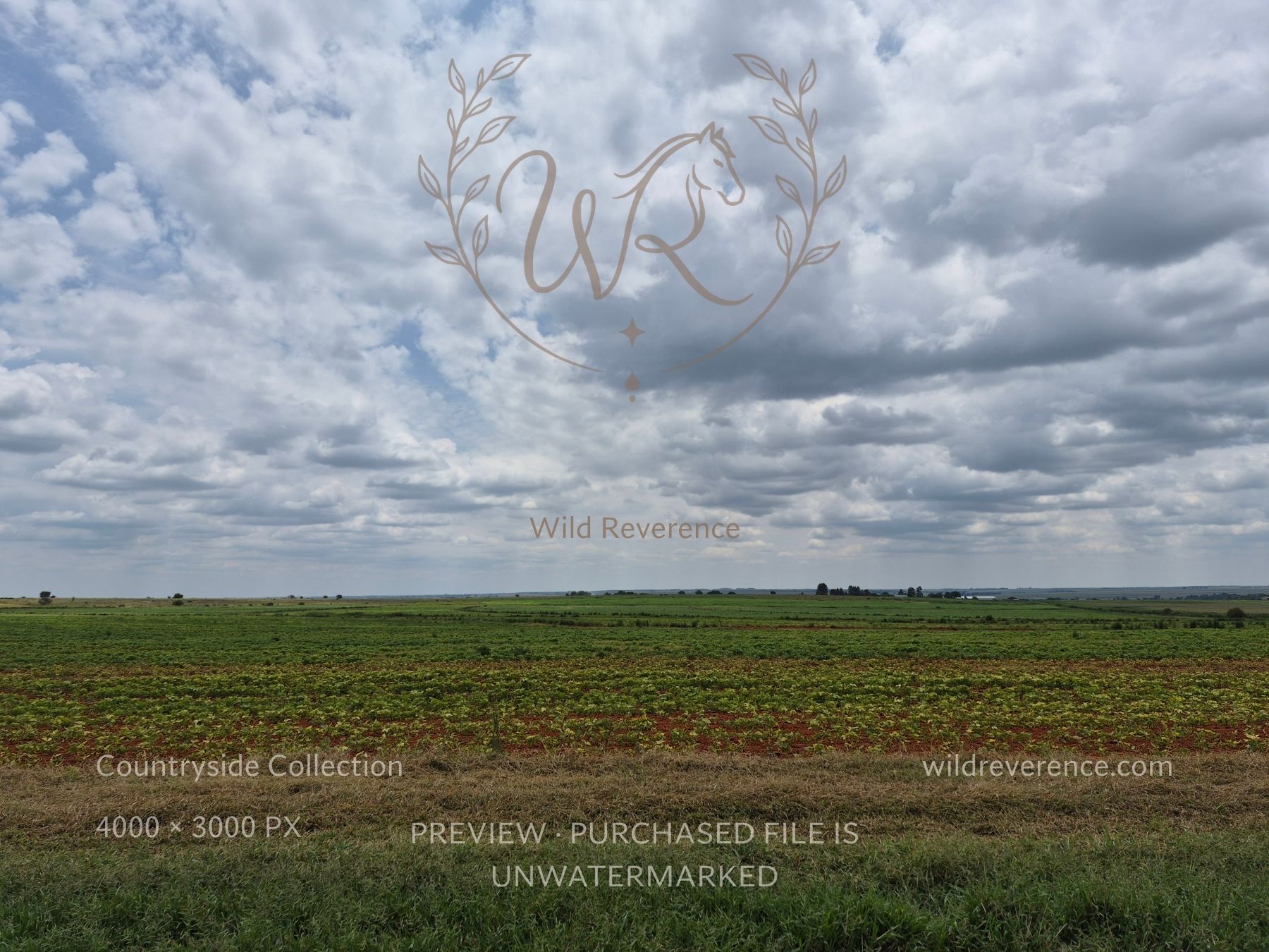 Gloomy Lands countryside landscape photograph from the Open Fields Collection by Wild Reverence