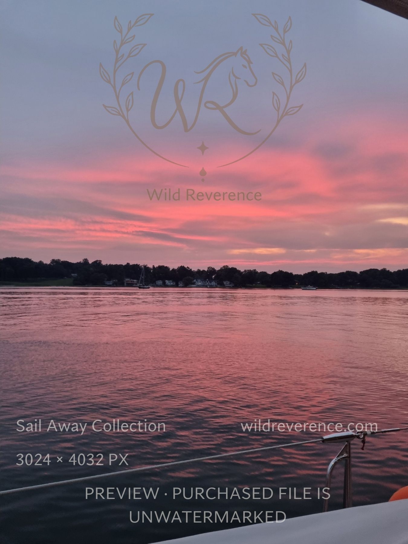Rose Hues