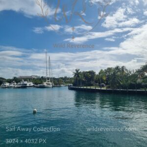 Somewhere Blue