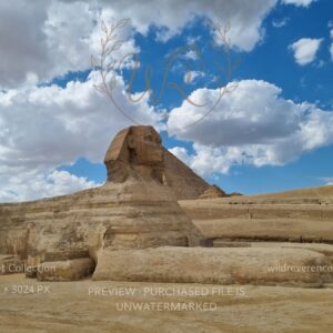 Egypt Collection