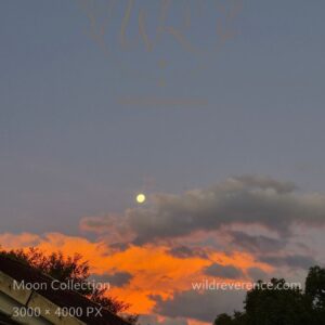 Rusty Moon