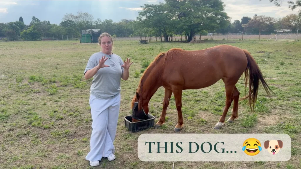 Storytime with Tay | The Dog Story My Chef Couldn’t Stop Laughing At 😂